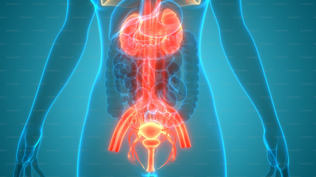 The Truth About Sugar: What You Need to Know for Better Health